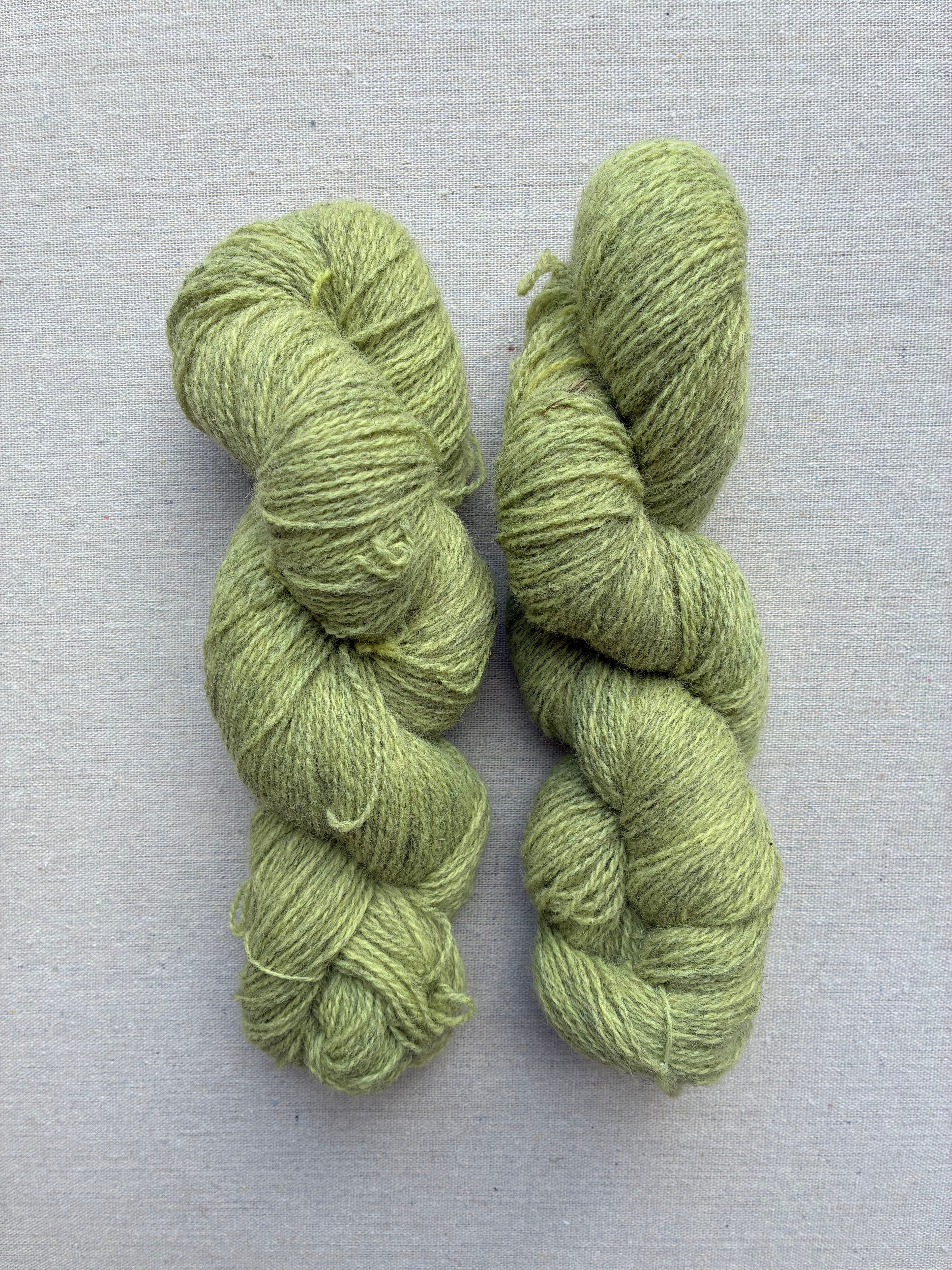 Lammeuld "Langsøsiv 2"